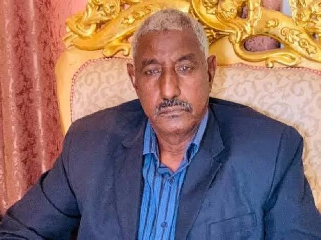 موازنات 
الطيب المكابرابي 
يكتب:
الحكم الاتحادي كما ينبغي