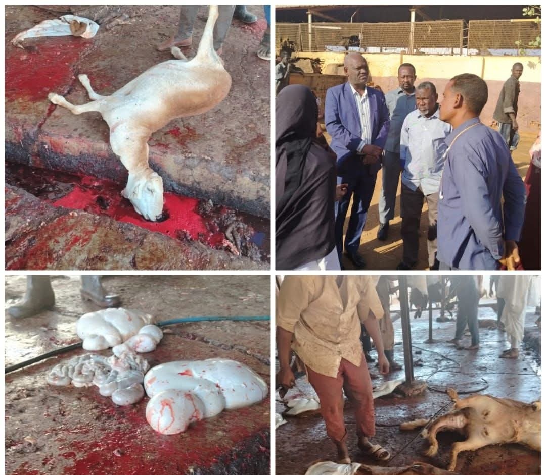 الزراعة والثروة الحيوانية بالخرطوم تحذر من إستمرار مخالفات مساطب الذبيح في أم درمان