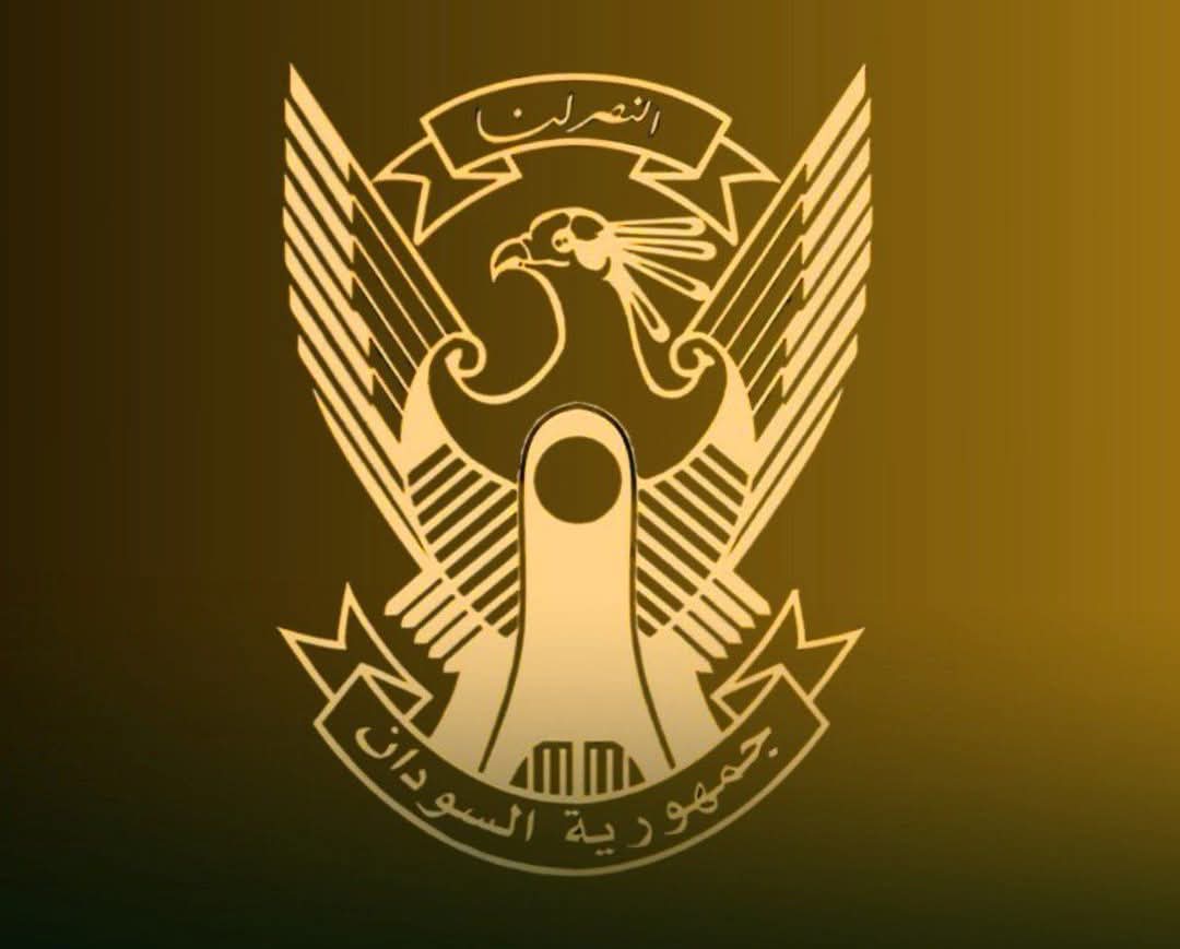 القوات المسلحة تنجح في إسقاط مسيرة استراتيجية معادية بالنيل الأزرق